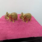 WhatsApp Image 2026-02-03 at 1.24.16 PM