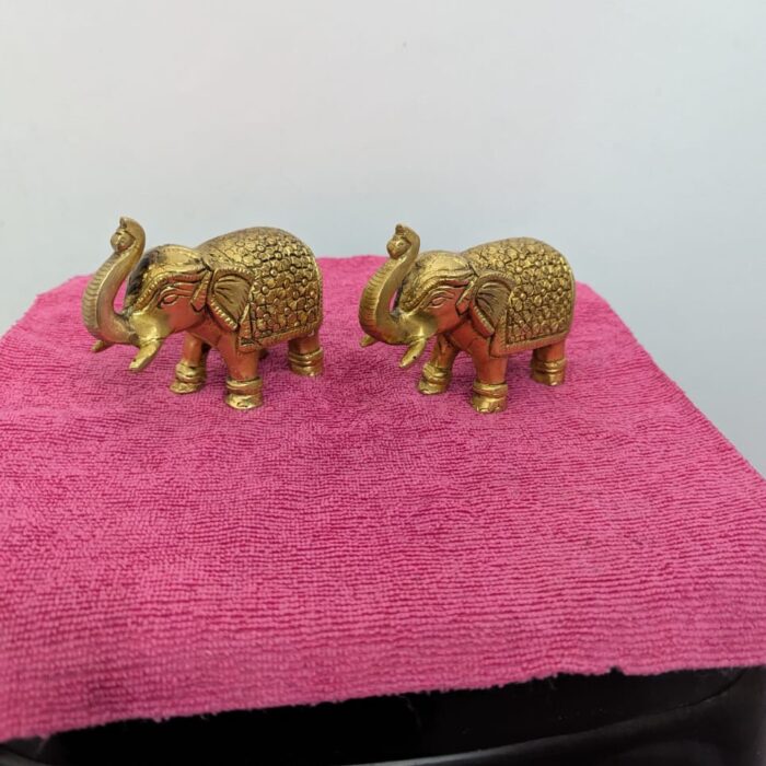 WhatsApp Image 2026-02-03 at 1.24.16 PM