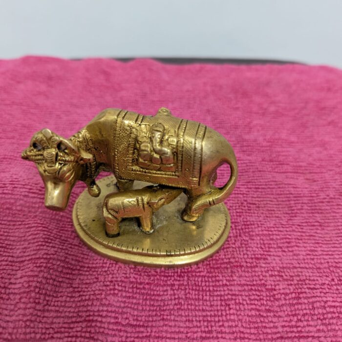 WhatsApp Image 2026-02-03 at 1.24.52 PM (1)