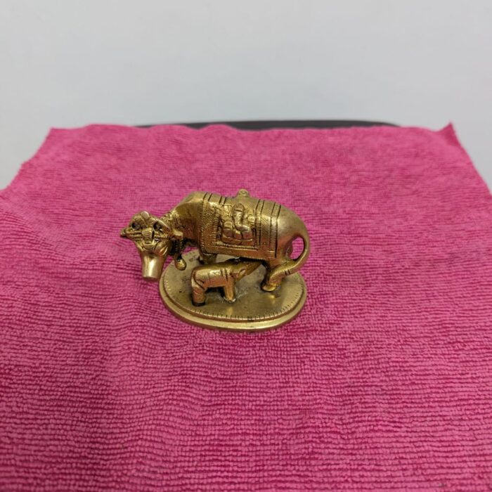 WhatsApp Image 2026-02-03 at 1.24.52 PM