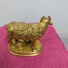 WhatsApp Image 2026-02-03 at 1.26.18 PM (1)