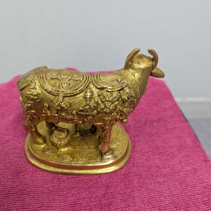 WhatsApp Image 2026-02-03 at 1.26.18 PM (1)