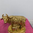 WhatsApp Image 2026-02-03 at 1.26.19 PM