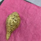 WhatsApp Image 2026-02-03 at 1.26.43 PM (1)