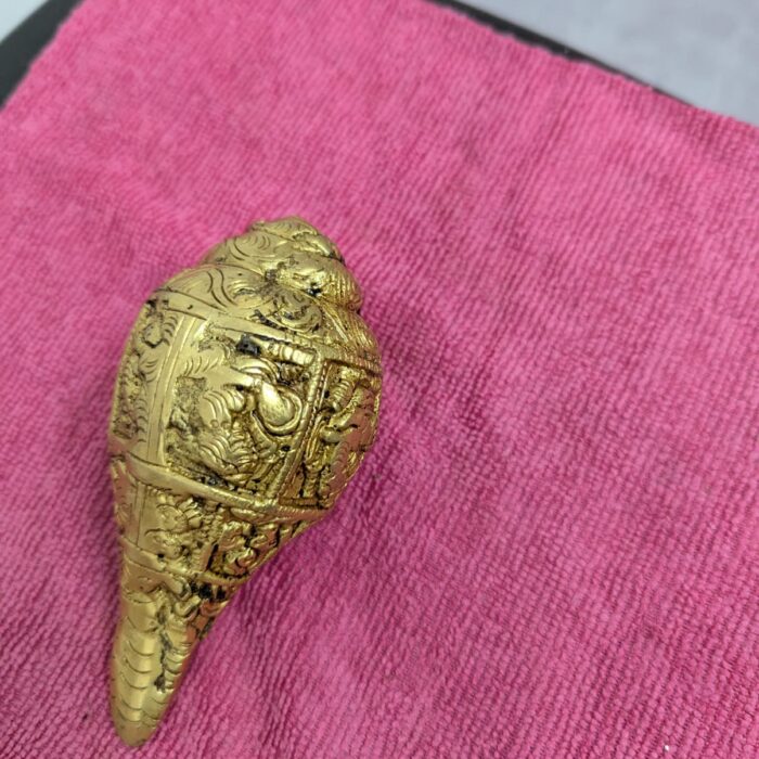 WhatsApp Image 2026-02-03 at 1.26.43 PM (1)