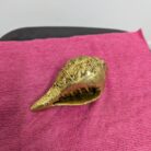 WhatsApp Image 2026-02-03 at 1.26.43 PM