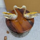 WhatsApp Image 2026-02-03 at 1.43.26 PM (1)