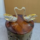 WhatsApp Image 2026-02-03 at 1.43.27 PM