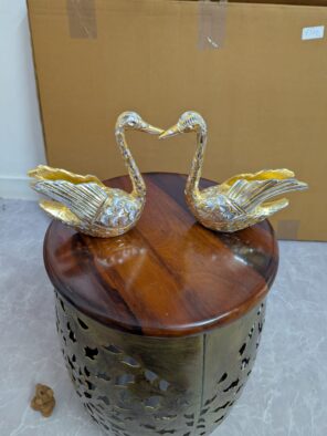 SWAN BIRD ( Pure Serenity)