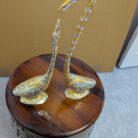 WhatsApp Image 2026-02-03 at 1.59.44 PM